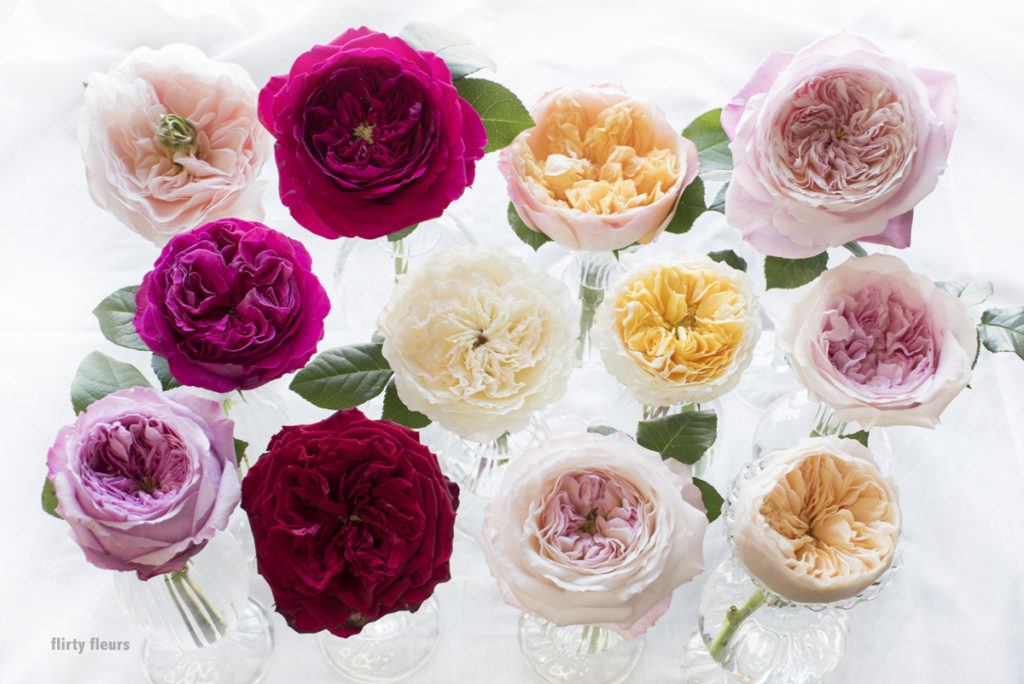 Flirty Fleurs Floral Design class featuring David Austin Wedding Roses grown by Alexandra Farms. Photographed by Georgianna Lane.