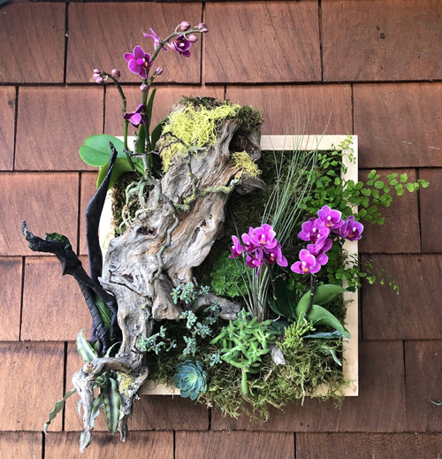 Françoise Weeks - Woodland botanicals framed for a wall display