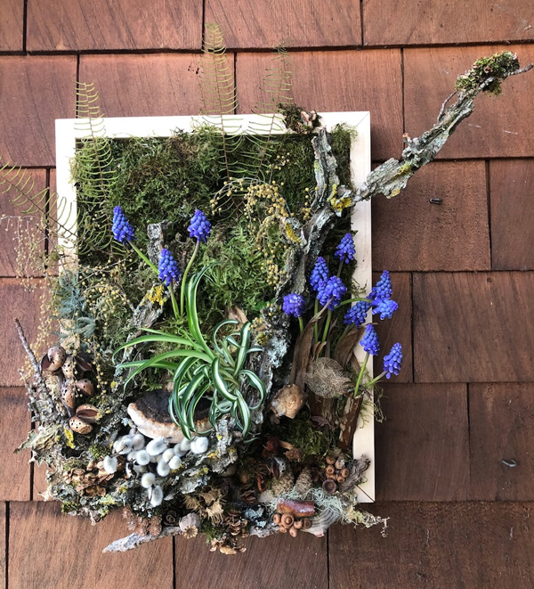 Françoise Weeks - Botanical Woodland frame with blue muscari