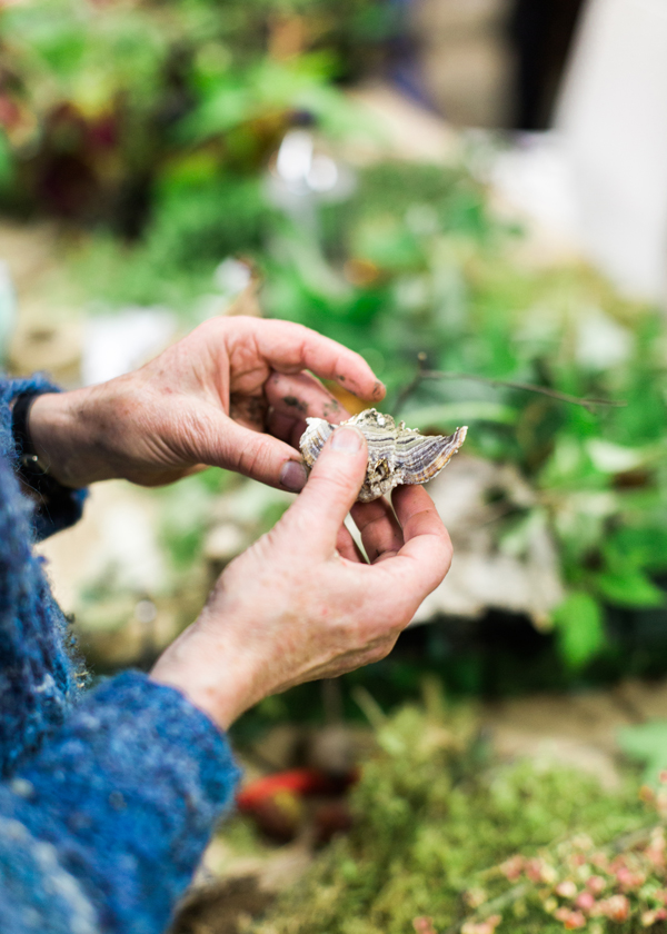 Francoise Weeks with woodland botanicals