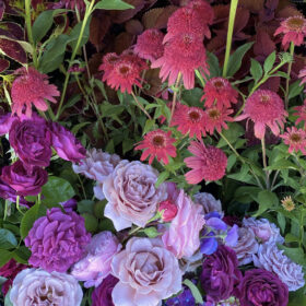 Fleurs Creative echinacea and garden roses for flower market