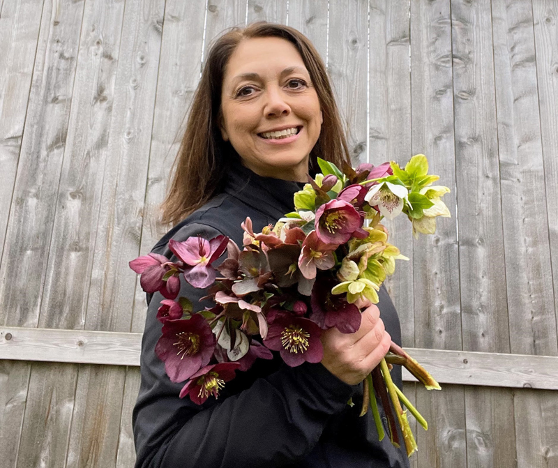 Growing hellebores for flower farmers in Washington state with Pamela Youngsman of Poppystarts