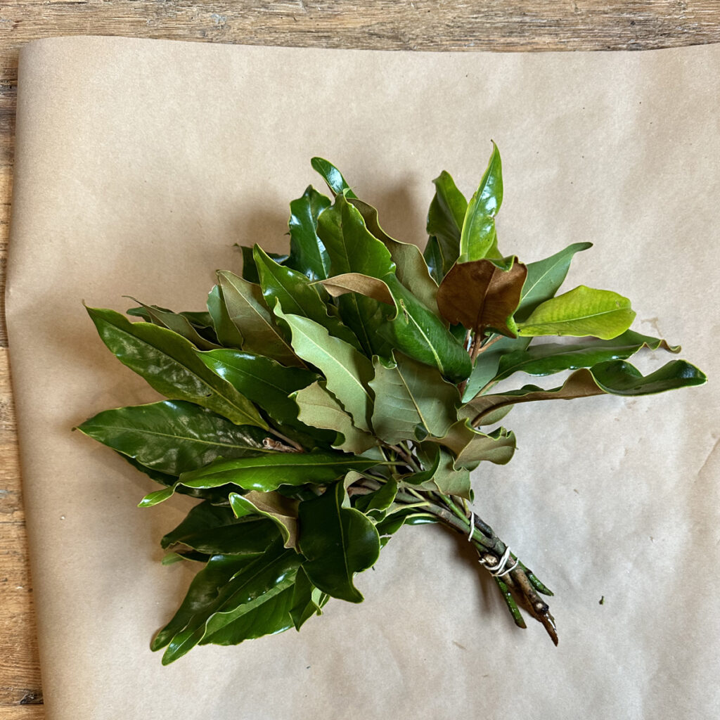 Magnolia Leaves Holiday winter greens available for purchase at Fleurs Creative in Snohomish Washington