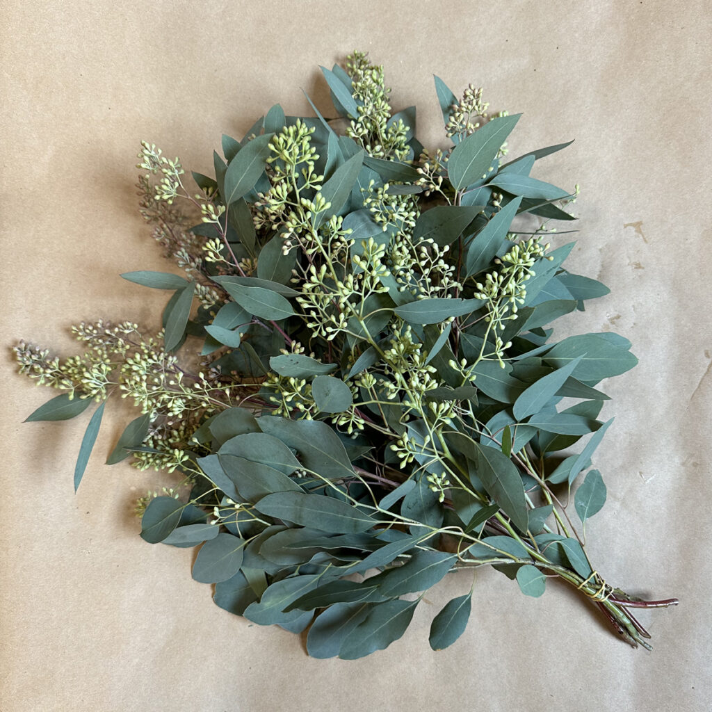 Seeded Eucalyptus Holiday winter greens available for purchase at Fleurs Creative in Snohomish Washington