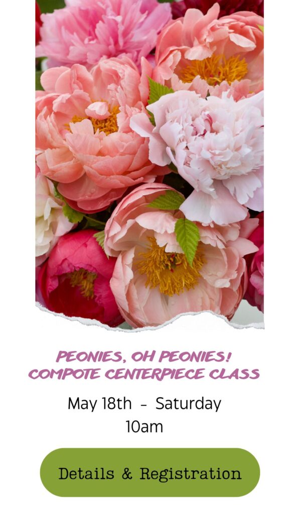learn how to arrange peonies and spring flowers into a floral arrangement in snohomish washington seattle bellevue