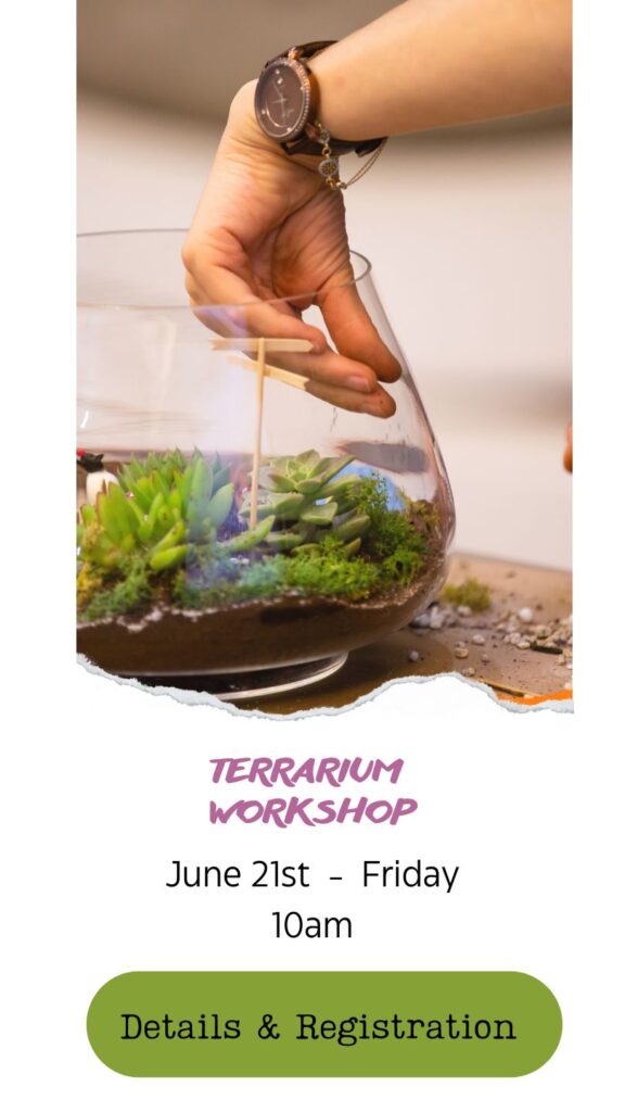 Create a plant terrarium at a hands-on workshop in snohomish washington at fleurs creative