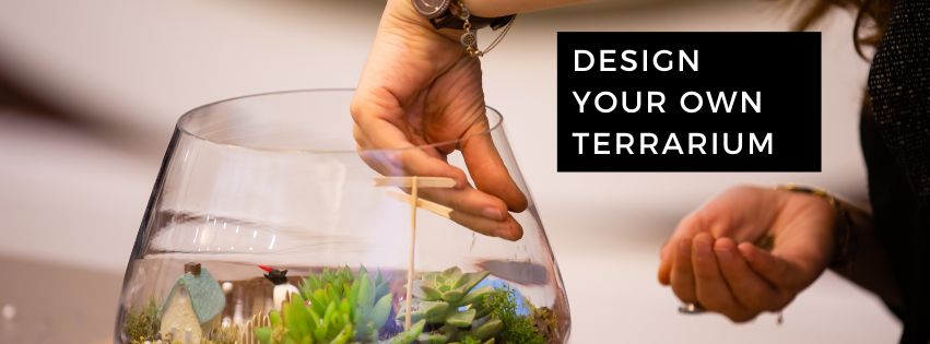 Build your own terrarium in a class at fleurs creative Snohomish Washington