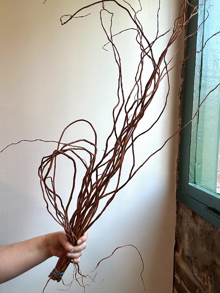 Curly Willow Branches can be used to create a variety of armatures for floral design arrangements.