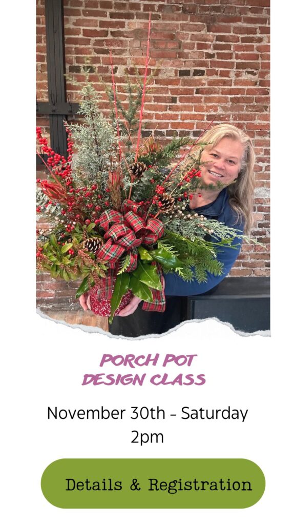 Christmas floral design class, arrange a holiday porch pot in snohomish washington