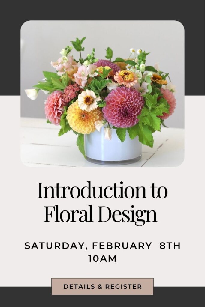 introduction to flower arranging class in snohomish washington