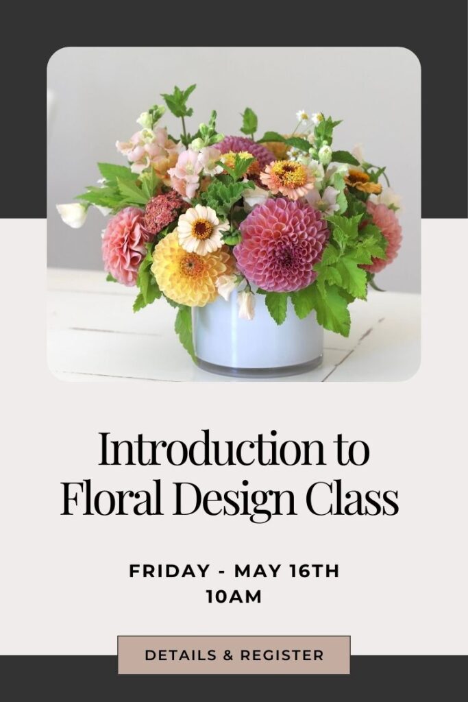 Learn how to arrange flowers in an introduction to floral design workshop in snohomish washington