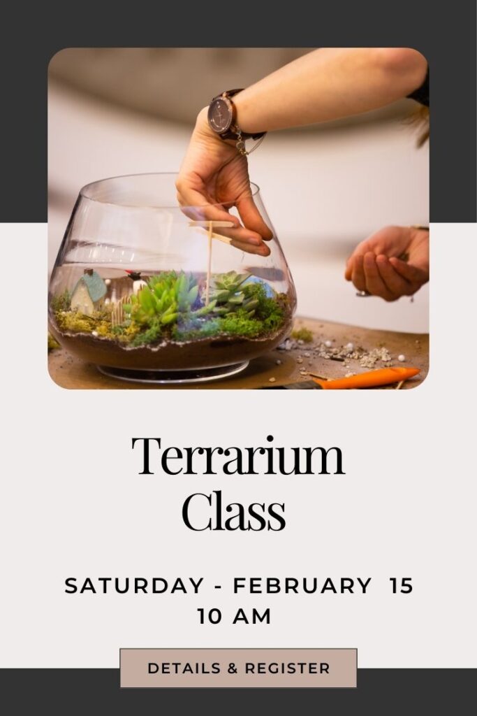 design a plant terrarium at a workshop in snohomish washington at fleurs creative