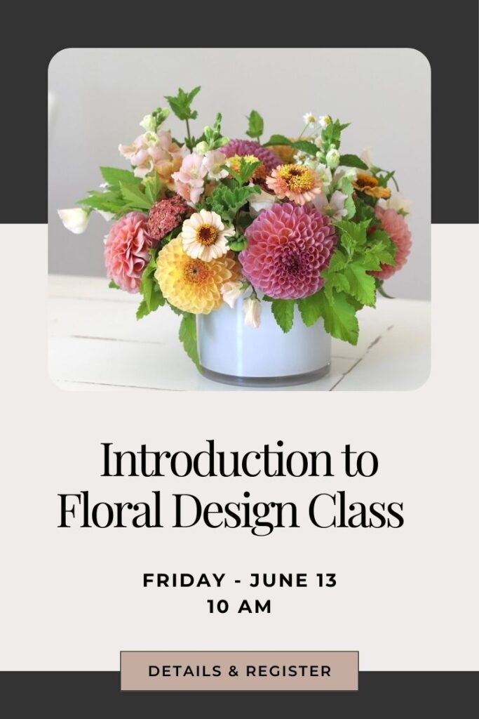 learn how to arrange flowers into an arrangement in a floral design class in Snohomish Washington