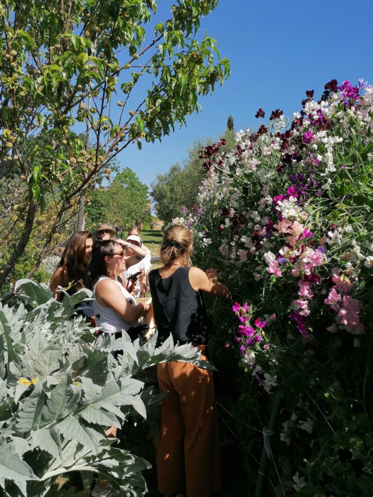 Puscina Flower Farm in Tuscany