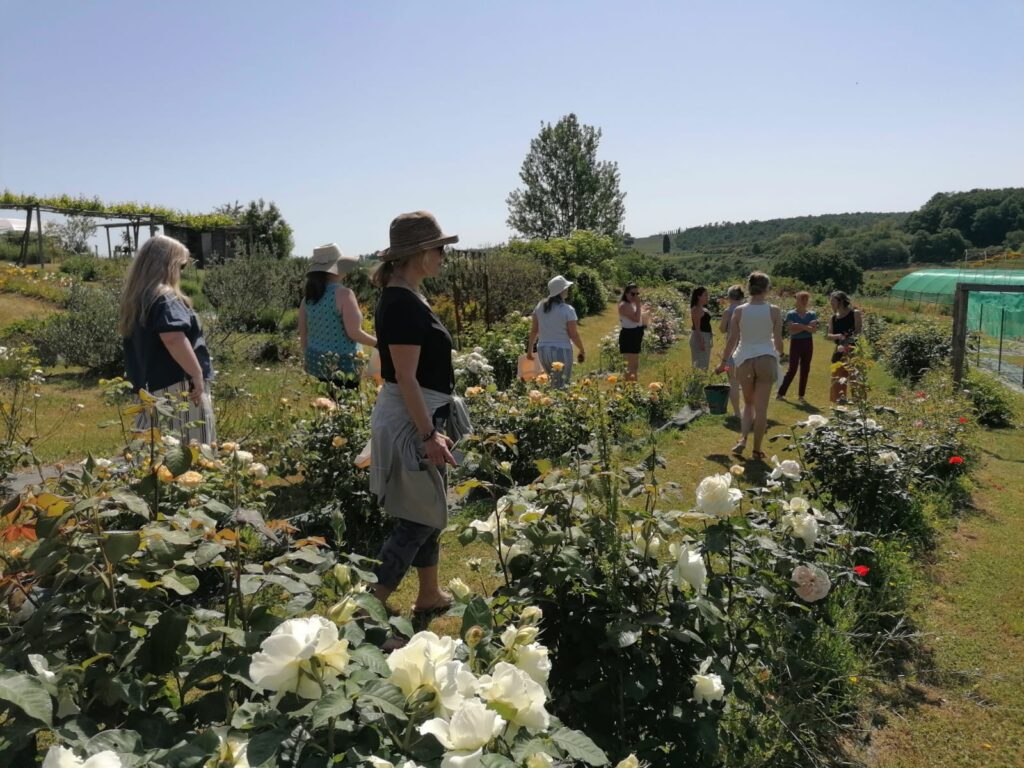 Visiting Puscina flower farm in Tuscany Italy as part of my floral design retreat