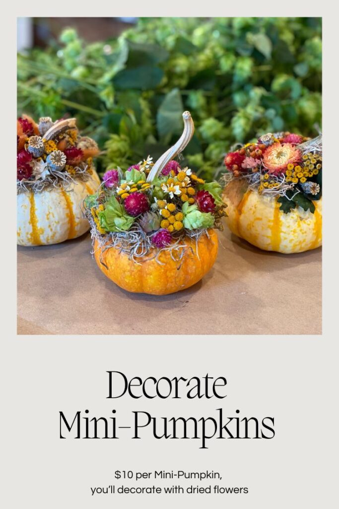Decorate mini pumpkins with dried flowers in Snohomish Washington State
