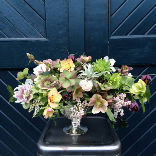 hellebore arrangement designed by Amanda of Alluring Blooms