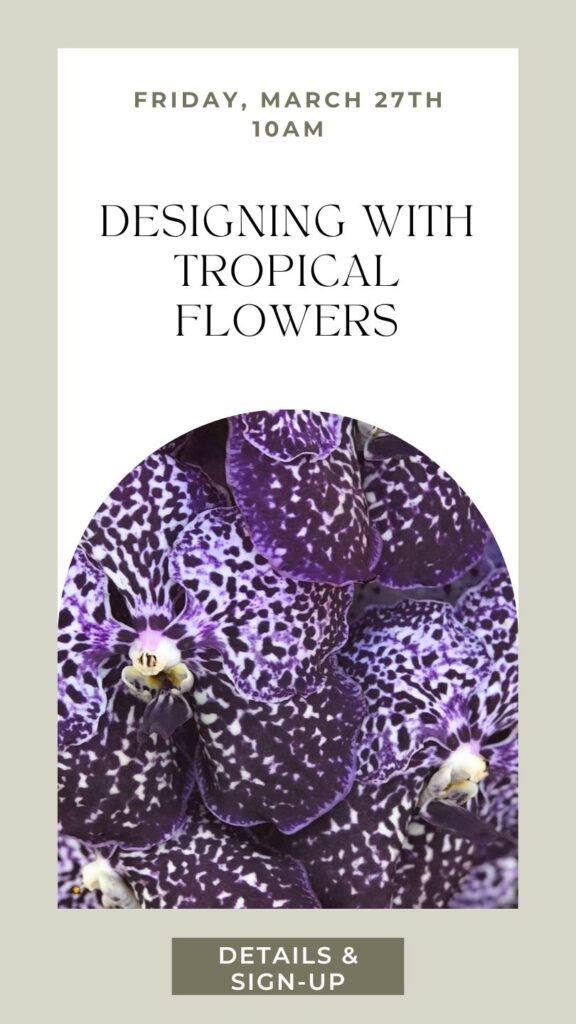 Fri March 27th 10am - Designing with Tropical Flowers