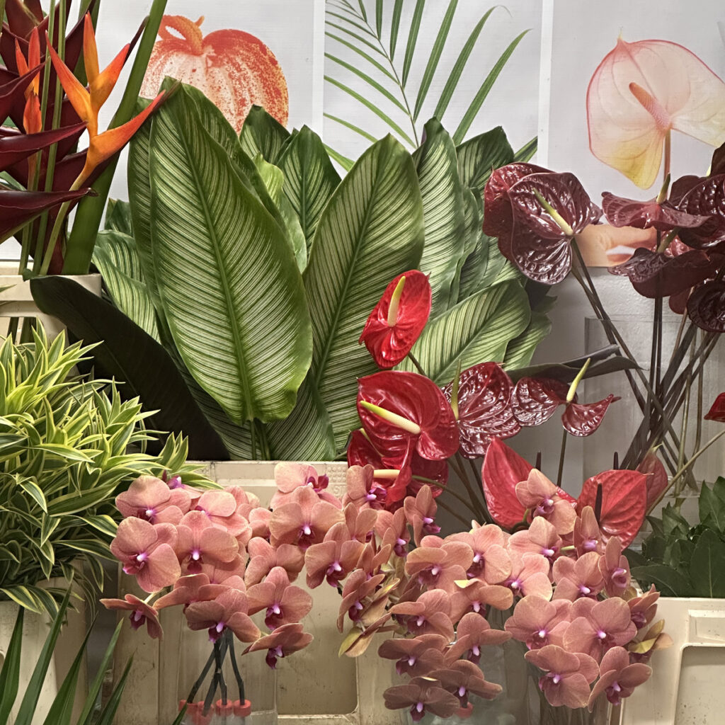 learn how to arrange tropical flowers, orchids, heliconia, anthurium at a flower arranging class in Snohomish Washington at Fleurs Creative