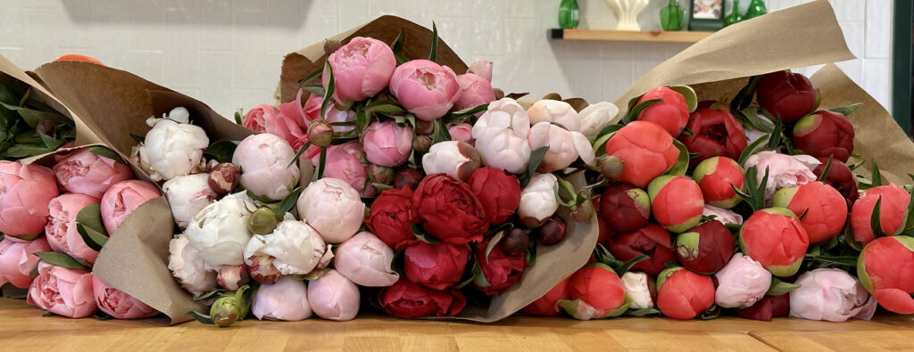 perfect peonies wrapped in brown kraft paper for a floral design class in Snohomish Washington at Fleurs Creative