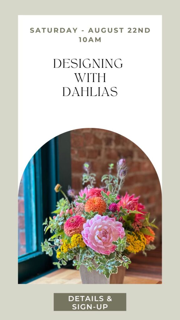 learn how to arrange flowers with a focus on Dahlias at a class in Washington state