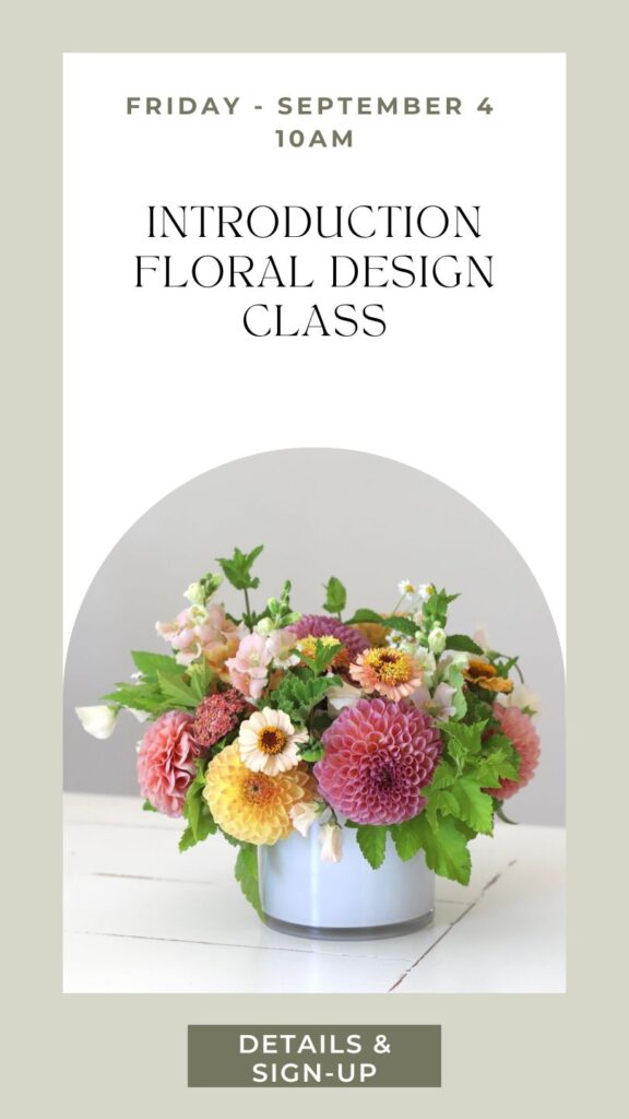 Beginner flower arranging class in washington state
