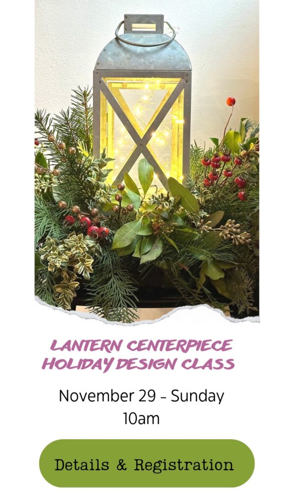 Lantern Centerpiece holiday design class in Snohomish Washington